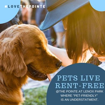 Pet friendly/dog park